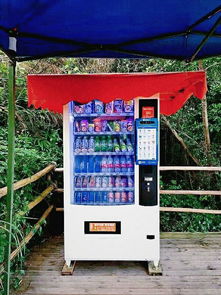 道滘自助便利，每时每刻 解读东莞、中山、广州自动售货机免费投放新模式